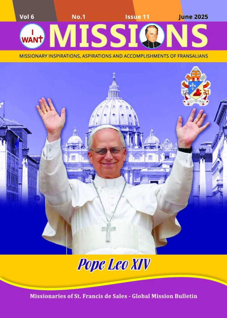thumbnail of MSFS MISSIONS – ISSUE No. 11